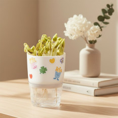 민화샵 콩나물 키우기 키트