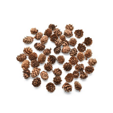 미니 솔방울 (소) 약100g 1봉지 약100개~110개 크기1.5cm~2.5cm